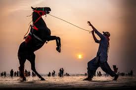 download (2) copy (1)